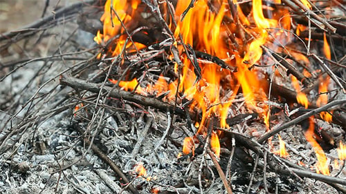 Flamme 2