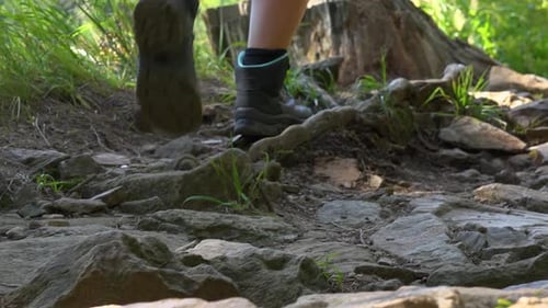 A Woman Walks Up a Stony Pathway in a Forest on a Sunny Day - View From the Ground