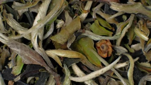 Closeup Dried Green Tea Leaves Rotating 360 Top View
