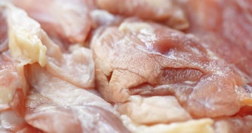 Raw Chicken Fillet