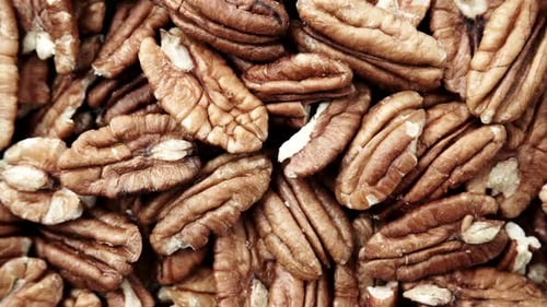 Pecan Nuts As Food Background
