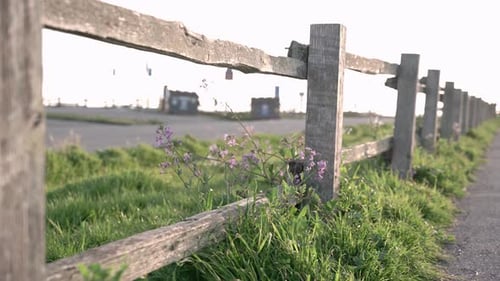 Scenic view of a wooden fence and a road close to the beach