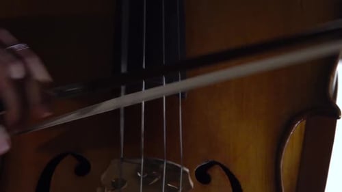 Girl Plays the Cello. Close Up