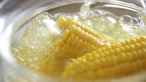 Close Up Sweet Yellow Corn Boiled In Water. Cooking Young Corncobs In Hot Water. The Corn Is Boiled