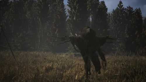 Scarecrow on the Old Village Field