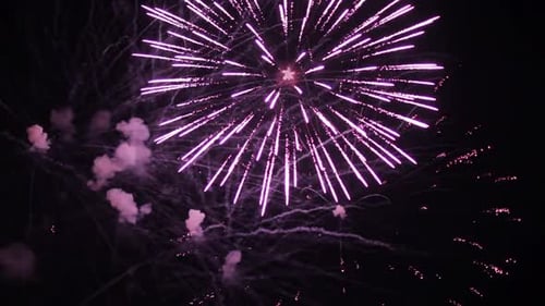Firework Display