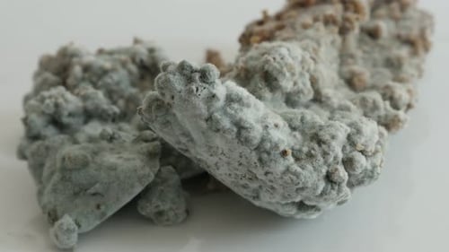 Mould over bread surface slow tilt 4K 2160p 30fps UltraHD footage - Tilting over rotten food with h