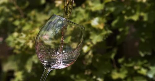 Vino rosado que se vierte en vaso, cámara lenta 4K