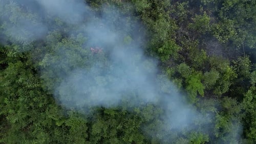 Incendio forestal desde arriba de 12