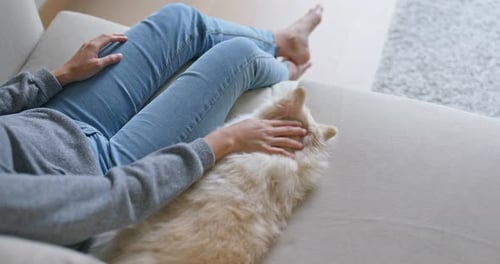 Woman Cuddle Her Pomeranian Dog at Home