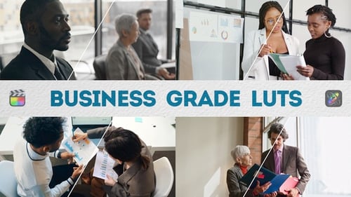 Business Grade LUTs | FCPX