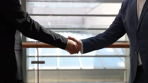 Business Handshake in Modern Office Setting