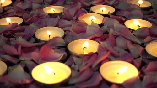Candles and Rose Petals Creating Soft Light