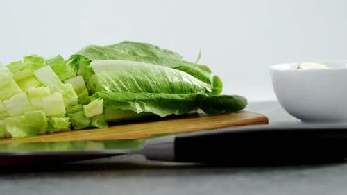 Fresh Lettuce, Tomato, and Mushrooms for Cooking