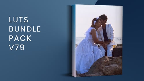 LUTs Bundle Pack V79