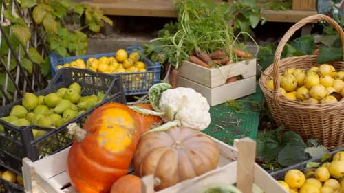 Crates with Fresh Garden Produce Stacked by Porch