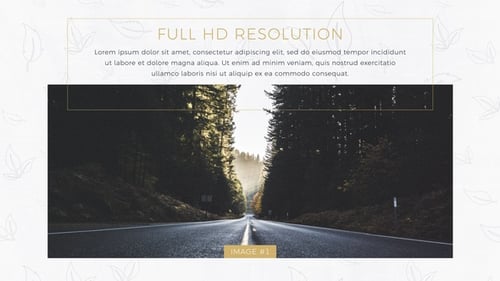 Stylish Minimal Slideshow