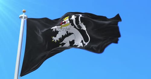 Crowned White Lion on Black Flag Waving in Blue Sky