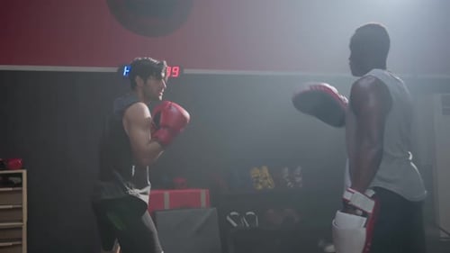 Men Boxing and Sparring in a Boxing Gym