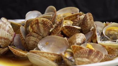 Clam Vongole Rotates on a Black Background Seafood Fresh Clam in a Shell Breathes