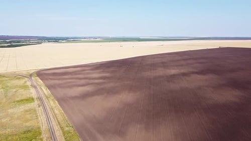 Drone Flying Above the Agricultural Fields in the Harvest Season. Aerial View of Scenic Countryside