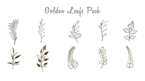 Gold Floral Elements