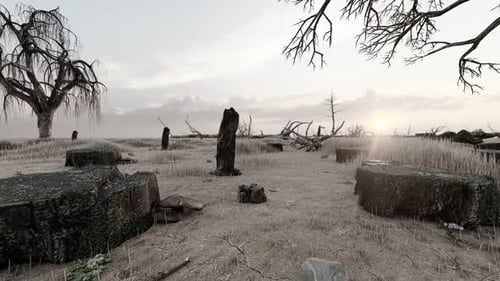Desolate Barren Landscape with Dead Trees at Sunrise Fly-Through