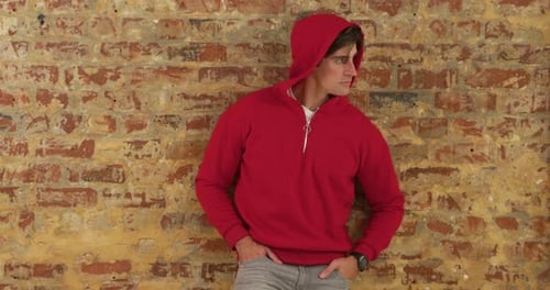 No Animated Motion Graphic Content Detected