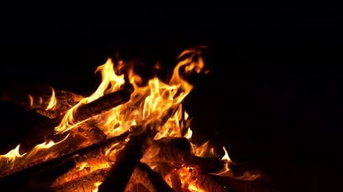 Roaring Campfire Flames at Night