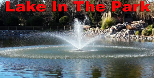 Lake In The Park