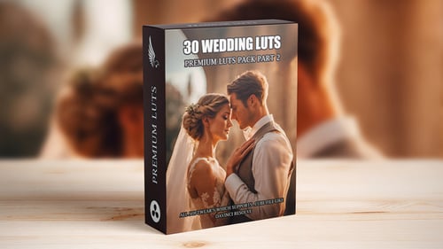 Professional Wedding Film Color Presets for Videographers
