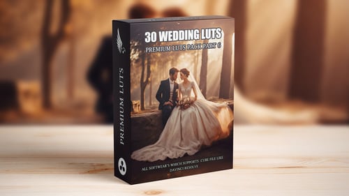 Professional Cinematic Color Grading LUTs for Wedding Videos