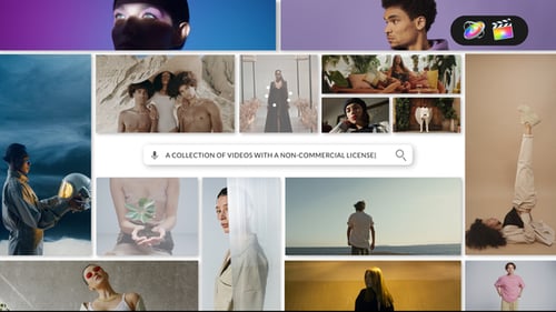 Search Logo Reveal for Apple Motion and FCPX