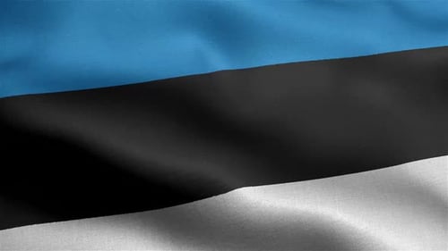 Estonian National Flag Realistic Waving Animation