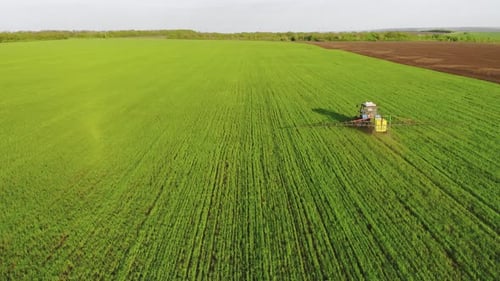 Aerial View of Farming Tractor Spraying on Field with Sprayer, Herbicides and Pesticides at Sunset
