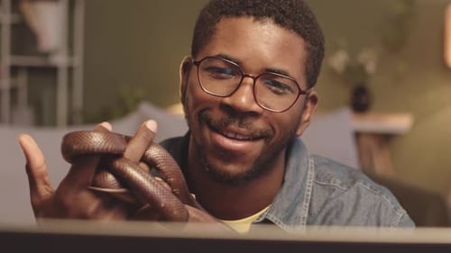 Jeune homme noir avec serpent de compagnie chat vidéo via un ordinateur portable depuis la maison