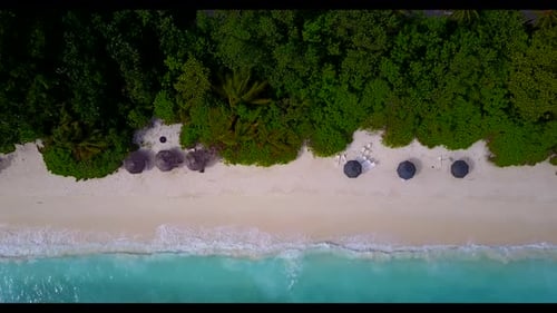 Aerial drone view sky of marine island beach wildlife by aqua blue lagoon with white sand background