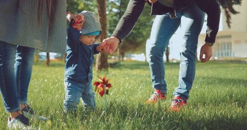 Baby Taking First Steps With Parents in Park