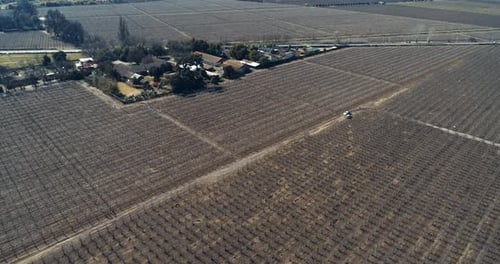 Drone footage in 4K, 60fps shot in Chile, footage from 100 mt high from the cherry trees