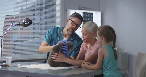 Veterinarian Examines Cat with Owner and Child Present