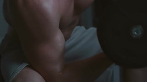 Muscular Man Lifting Dumbbell at the Gym