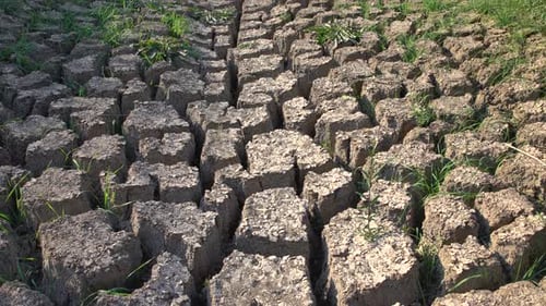 Parched Dry Cracked Earth in Arid Rural Landscape