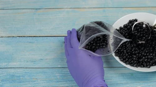Measuring Black Currants into Plastic Food Storage Bag