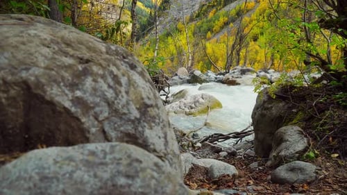 Mountain river in the autumn mountains. A turbulent current. Georgia, Svaneti.