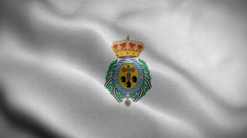 Waving Flag with Detailed Coat of Arms Emblem