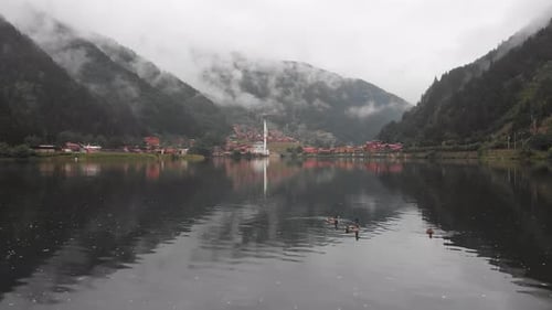 Lindos patos con panorama del lago en Uzungol, Turquía (Dlog)