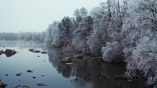 Shallow river near winter forest.
