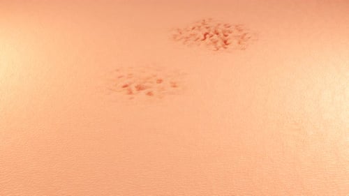 Microscopic Skin Surface with Animated Cell Growth