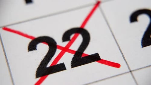 22-е число календаря перечеркнуто красным крестом в макросе на белом листе