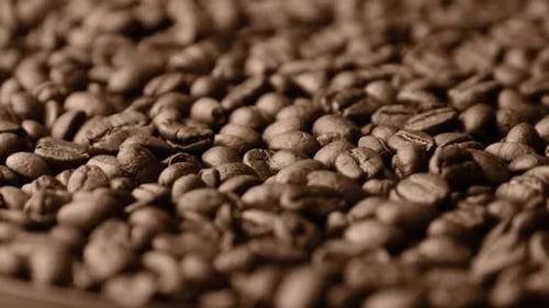 Coffee Beans Rotate Slowly